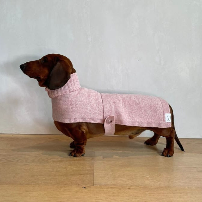DACHSHUND BLUE STRIPES CASE